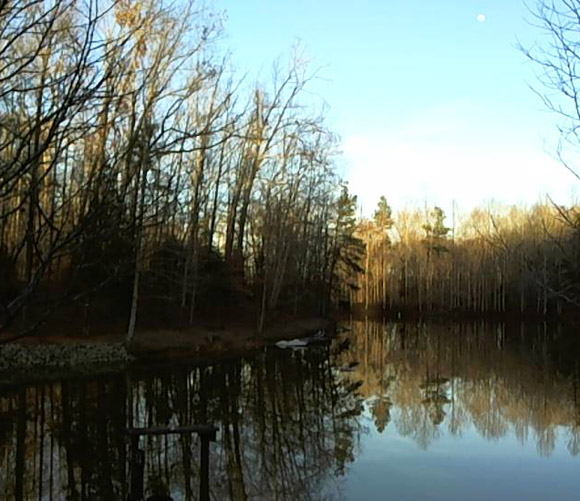 Image afternoon at the lake