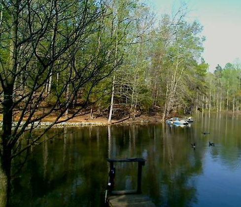 April 5, 2010 lake side North Carolina Piedmont