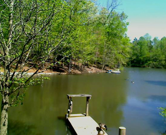 Friday Spring - Lake at Rose Cottage...