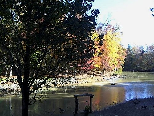 Fall lake scene from Rose Cottage Ltd