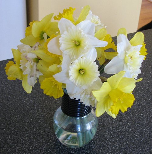 Image - Daffodils