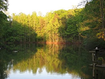 An April evening at the lake