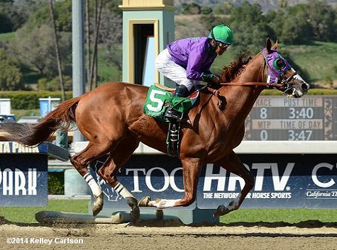 California Chrome