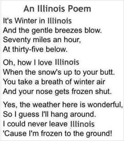 Ode to a Illinois Winter