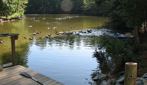 Lake image - 2009