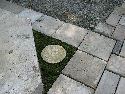 Moss around Celtic paver stone