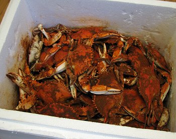 Steamed crabs shipped image