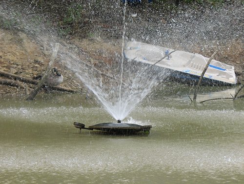 Fountain nearly out of water needed to run