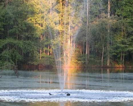 My lake's fountain