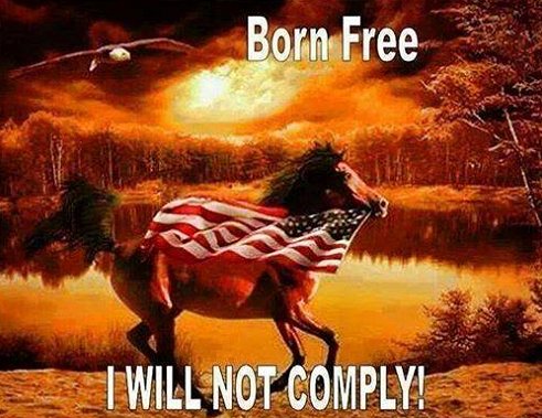 American Freedom