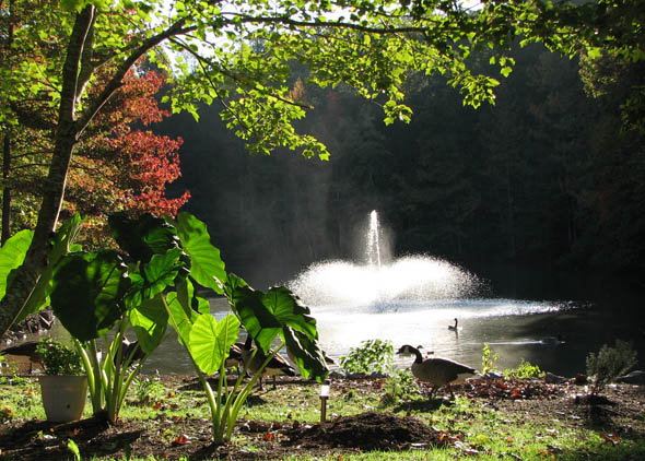Lake scene image