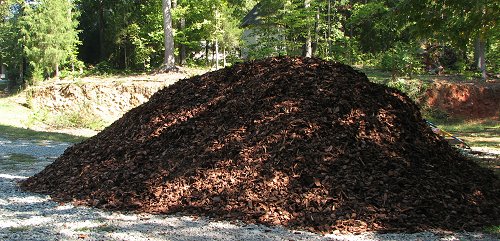 Mulch pile - 12 yards