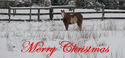 Merry Christmas from Paint the Pony!!!
