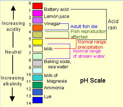 pH Scale - Acid versus Alkaline
