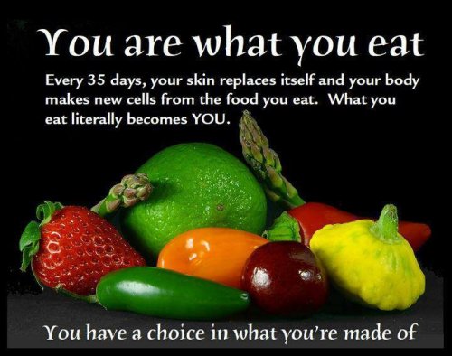 Your diet is your fuel