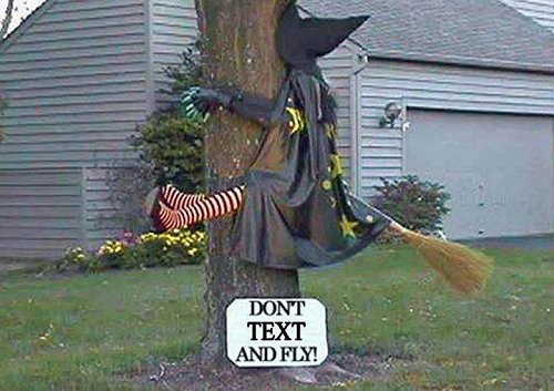Perils of texting and flying